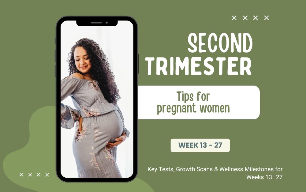 Second Trimester (Week 13–27)